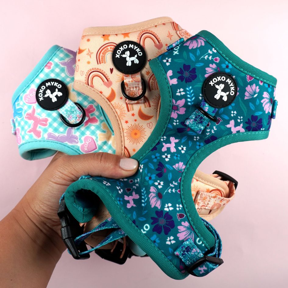 Adjustable Harness - Pretty Fa-bow-lous