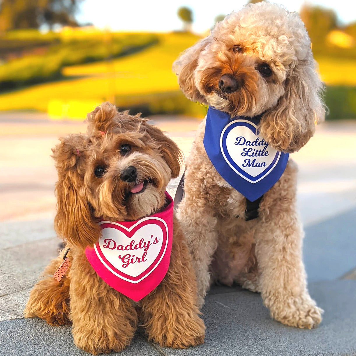 Daddy's Girl - Tie Up Bandana (One Size)