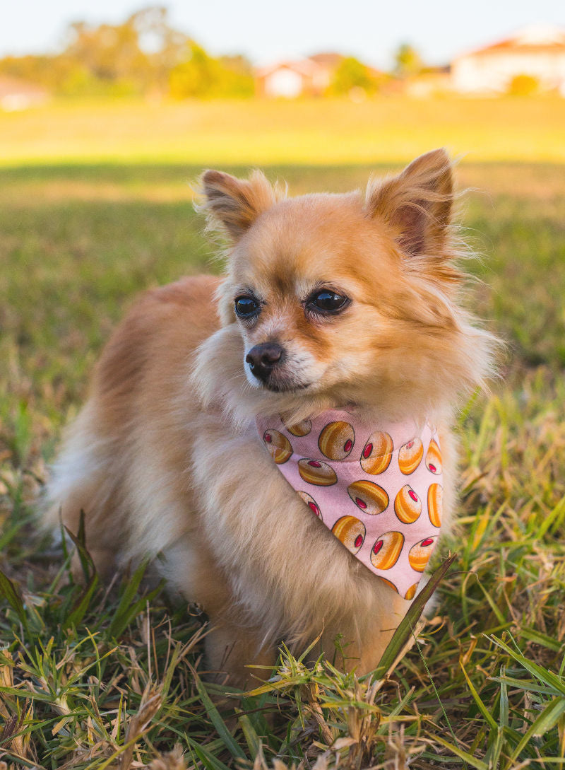 Jam Donut Bandana