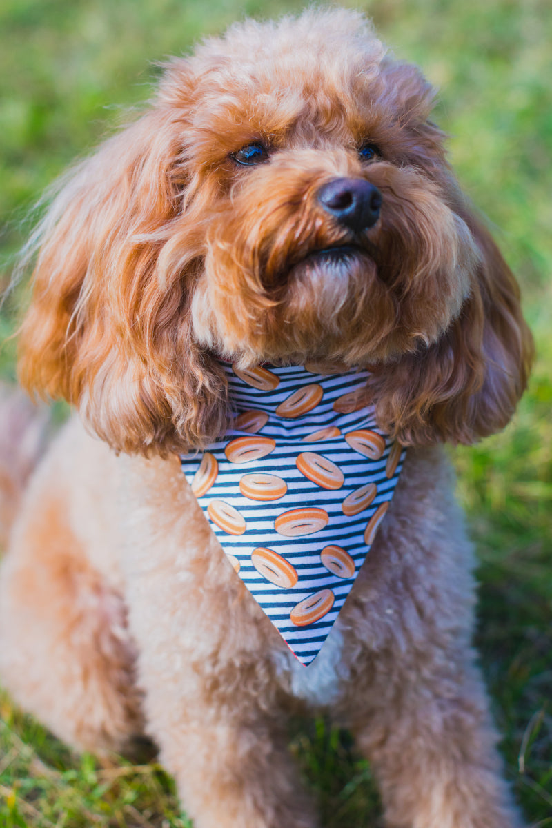 Original Glaze 'OG' Bandana