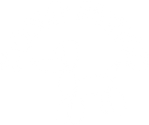 XOXO Myko logo - pet boutiques small business - cats dogs - balloon dog